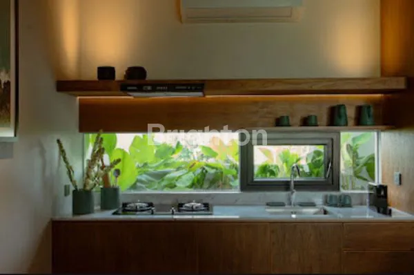 image VILLA 3 BEDROOM VIEW RICE TERRACE, 10 MINUTES TO CANGGU (4)