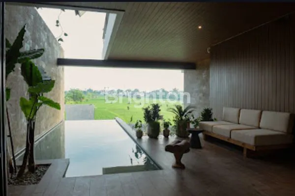 image VILLA 3 BEDROOM VIEW RICE TERRACE, 10 MINUTES TO CANGGU (6)