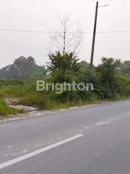 image TANAH KOMERSIAL STRATEGIS JL. PADAT KARYA/DARU-DARU, KAPAU SARI (2)