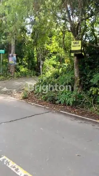 image TANAH JUAL ATAU SEWA DI NYANGNYANG (3)