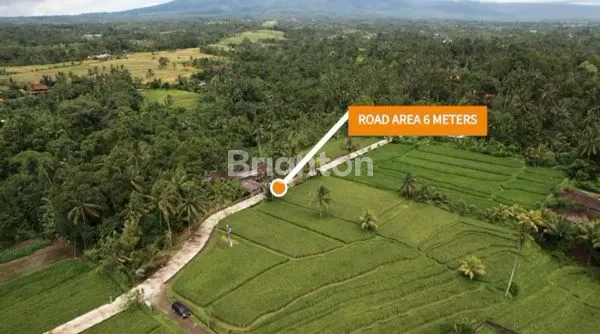 image INVESTASI TANAH 1,39 HEKTAR ZONA KUNING IZIN VILLA, SIAP BANGUN, VIEW GUNUNG, SAWAH, SUNGAI, DI KAWASAN WISATA PENEBEL TABANAN  (2)