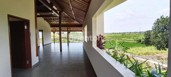 image DISEWAKAN VILLA BARU DI TUMBAK BAYUH – VIEW SAWAH & PRIVATE POOL \NSEWA VILLA\NJALAN TUMBAK BAYU CANGGU BADUNG - BADUNG (2)
