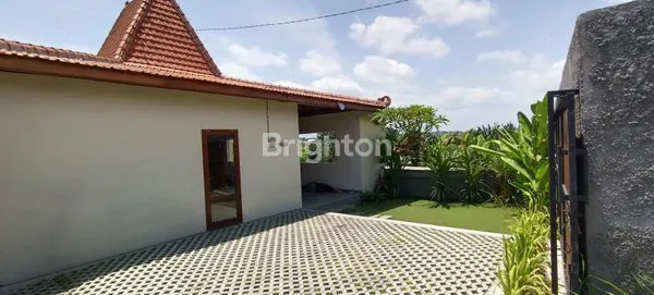 image DISEWAKAN VILLA BARU DI TUMBAK BAYUH – VIEW SAWAH & PRIVATE POOL \NSEWA VILLA\NJALAN TUMBAK BAYU CANGGU BADUNG - BADUNG (1)