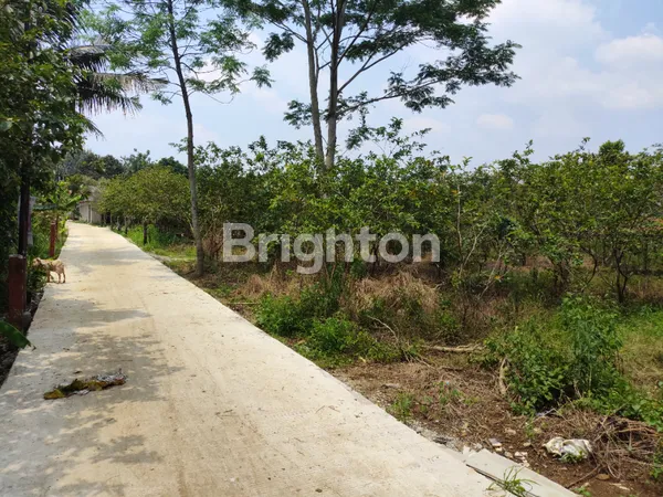 image TANAH DI DAERAH SASAK PANJANG, TAJUR HALANG, KAB. BOGOR, COCOK UNTUK INVESTASI, PERUMAHAN CLUSTER DAN TEMPAT USAHA (4)