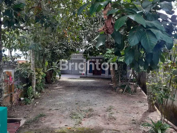 image DIJUAL CEPAT RUMAH MEWAH MURAH PINGGIR JALAN RAYA DI JALAN HARUN NAFSI RAPAK DALAM SAMARINDA SEBERANG (4)