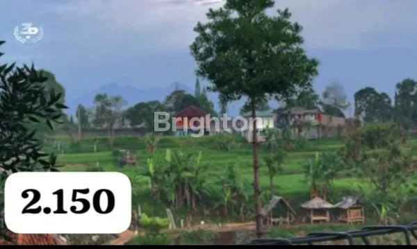 image VILLA MEWAH 4KT DI PUNCAK CISARUA (1)