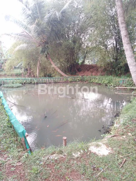 image TANAH SHM 2.200M² DI PARUNG BOGOR (2)