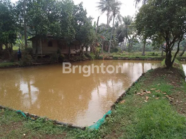 image TANAH SHM 2.200M² DI PARUNG BOGOR (1)