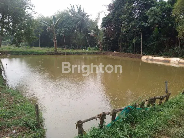 image TANAH SHM 2.200M² DI PARUNG BOGOR (5)