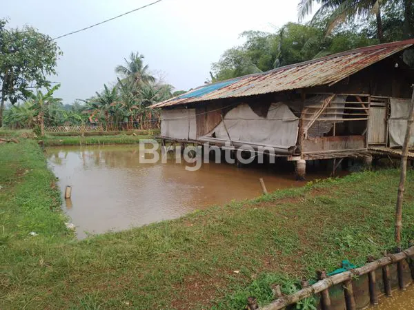 image TANAH SHM 2.200M² DI PARUNG BOGOR (3)