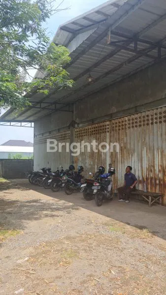 image BALONG PANGGANG GRESIK  (1)