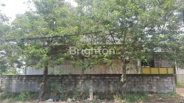 image BALONG PANGGANG GRESIK  (2)