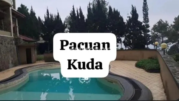 image VILLA MEWAH CIPANAS, VIEW PEGUNUNGAN & FASILITAS LENGKAP (1)