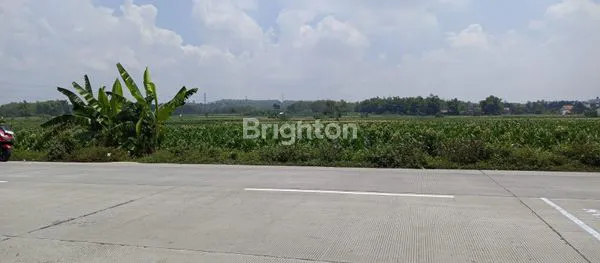 TANAH LOKASI STRATEGIS DEPAN KAMPUS UNIVERSITAS TERBESAR DI SULAWESI TENGAH