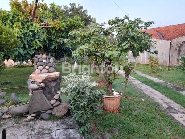 image RUMAH ASRI DI KARANGREJO (4)