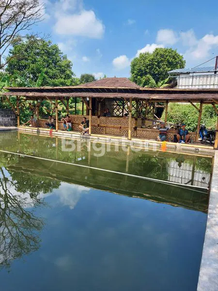 image KOLAM PANCING SIAP USAHA DI CIOMAS (2)