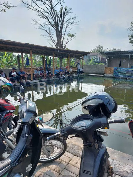 image KOLAM PANCING SIAP USAHA DI CIOMAS (3)