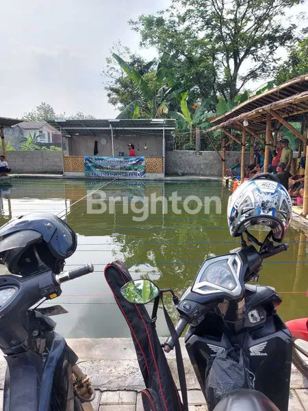image KOLAM PANCING SIAP USAHA DI CIOMAS (4)