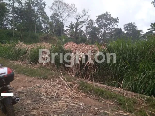 image TANAH KEBUN DS PRODO DS KLAMPOK (1)