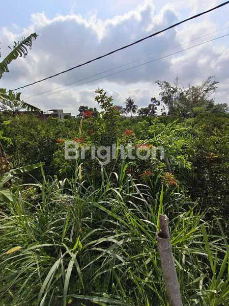 image TANAH LUAS 360M² DI JALAN DAU, MALANG (6)