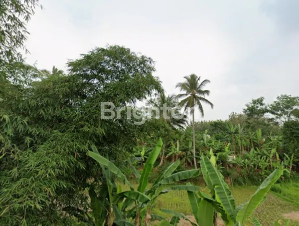 image DIJUAL TANAH LUAS 9.000 M² – KOTA SUKABUMI (1)