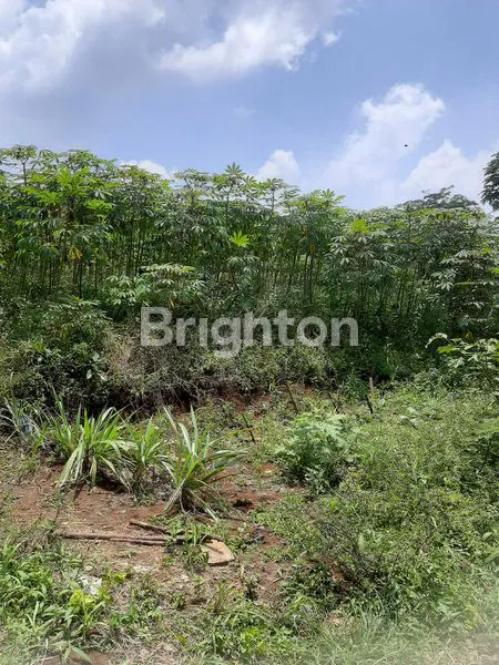 image LAHAN STRATEGIS DI BOJONG KONENG SENTUL (4)