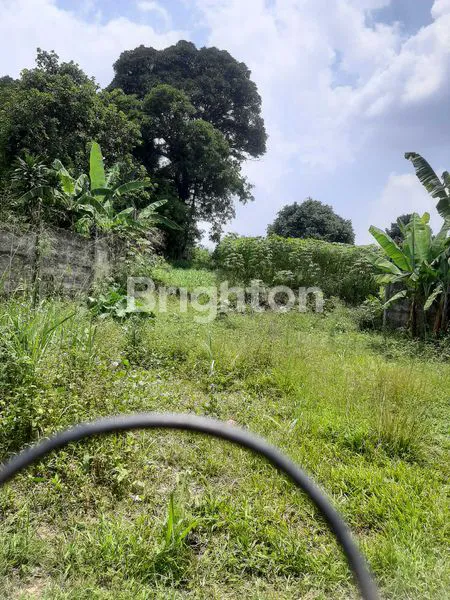 image LAHAN STRATEGIS DI BOJONG KONENG SENTUL (6)