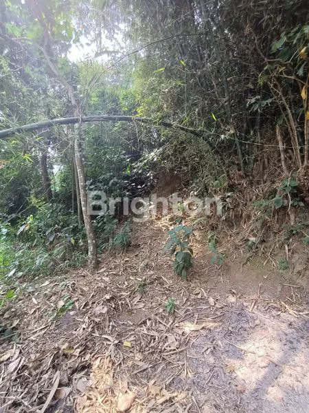 image RUMAH BANGUNAN LAMA DAN TANAH JL. TUNGGUL AMETUNG KECAMATAN TUMPANG MALANG (6)