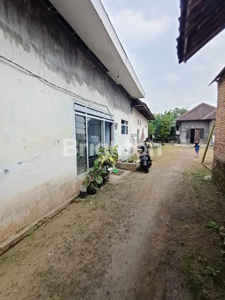 image RUMAH BANGUNAN LAMA DAN TANAH JL. TUNGGUL AMETUNG KECAMATAN TUMPANG MALANG (8)