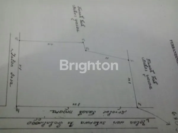 image TANAH PROBOLINGGO ARAH BROMO (2)