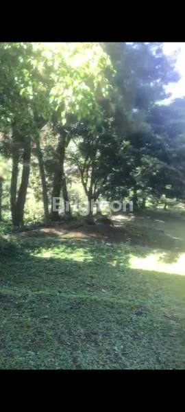 image VILLA 2 LANTAI LT 10RB M² DI CISARUA (1)