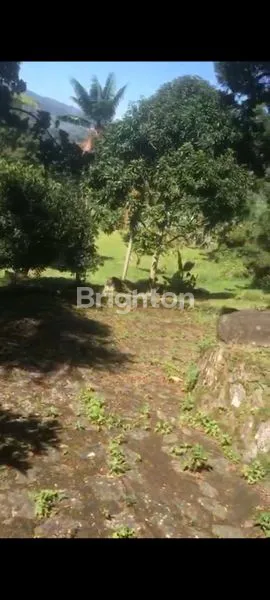 image VILLA 2 LANTAI LT 10RB M² DI CISARUA (7)