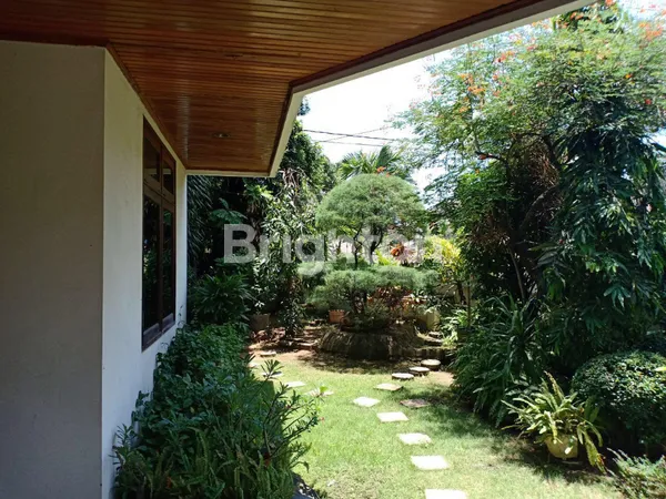 image RUMAH MEWAH 2 LANTAI DI KERTAJAYA INDAH SURABAYA (6)