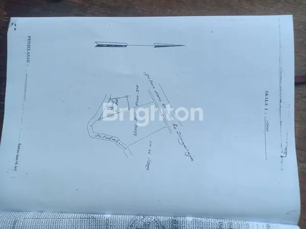 image INVESTASI RUKO LT 760M² DI TEMUKUS LOVINA BALI (7)