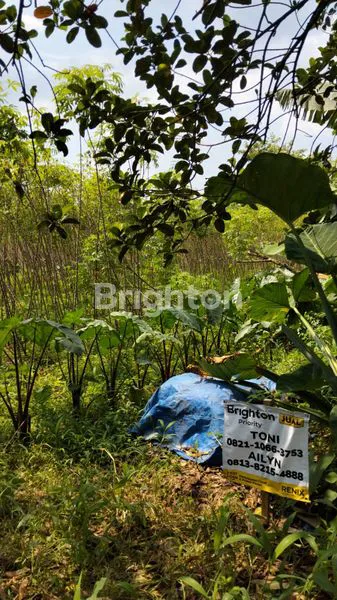 image TANAH KAVLING DI BOJONG SARI DEPOK DEKAT DENGAN SMAN 10, SHM ,JL RAYA CURUG ,DEPOK ,JAWA BARAT (3)