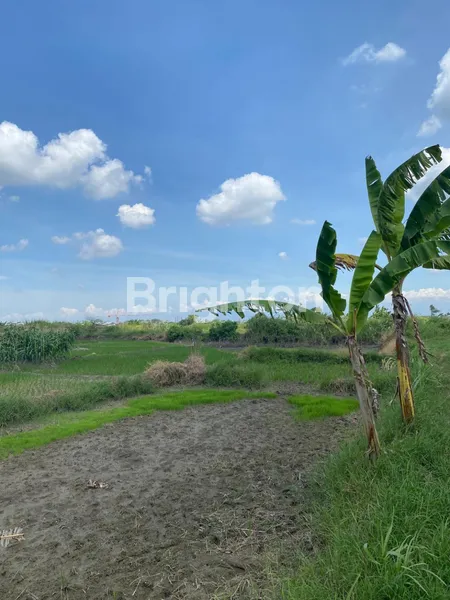 image KAVLING BUTUH URUG JALAN BRINGKANG - MENGANTI, STRATEGIS 300 METER DARI RAYA BRINGKANG (1)