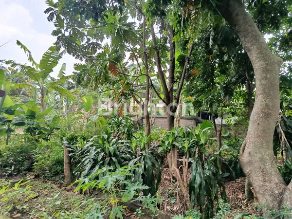 image [DIJUAL] TANAH & BANGUNAN POTENSIAL DI LOKASI STRATEGIS JAKARTA SELATAN\\\\NKESEMPATAN LANGKA UNTUK ANDA YANG JELI MELIHAT PELUANG INVESTASI! (2)