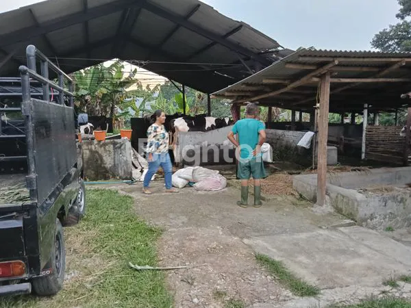 image DIJUAL TANAH 7.000 M² DENGAN RUMAH & PETERNAKAN SAPI PERAH AKTIF — LEUWILIANG, BOGOR (4)