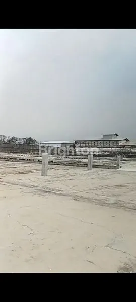 image PABRIK KACANG GARUDA  (3)