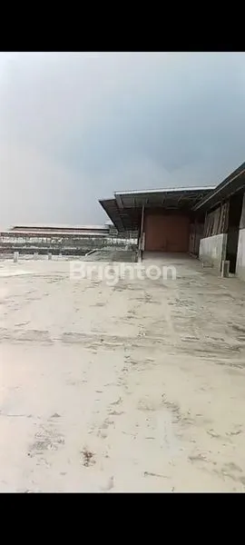 image PABRIK KACANG GARUDA  (5)