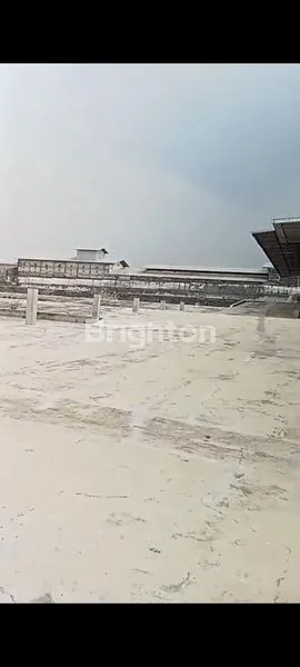 image PABRIK KACANG GARUDA  (2)