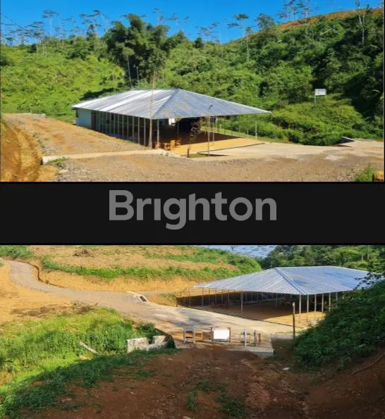 image LAHAN CIANJUR JAWA BARAT,LOKASI BAGUS & COCOK UNTUK USAHA. (4)