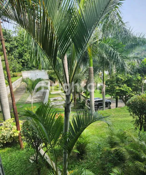 image VILLA KEBUN PALEM BOGOR (4)