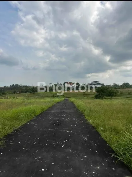 image TANAH DIJUAL KABA -KABA  (2)