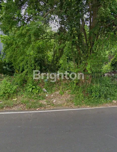 image TANAH SIAP BANGUN DI TAMAN BALI (4)