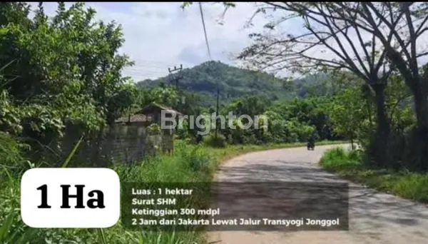 image TANAH LUAS 10.000M² DI CIKALONG + BONUS RUMAH (1)