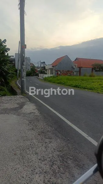 image RUANG USAHA CANGGU, 96M², LOKASI PREMIUM (3)