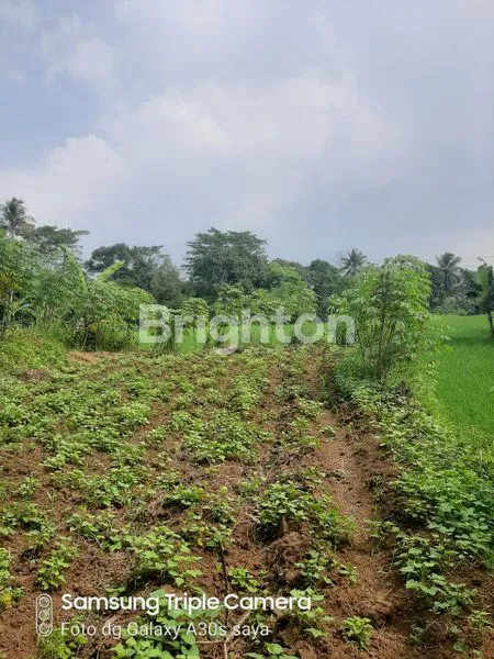 TANAH KEBUN, MATA AIR SANGAT COCOK BUAT PABRIK  AIR MINERAL SANGAT STRATEGIS JL RAYA PROVINSI BOGOR SUKABUMI
