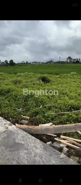 image TANAH PREMIUM 5 ARE DI DEKAT PANTAI SESEH CANGGU SUDAH KOMPLEK LINGKUNGAN VILLA VIEW PANTAI  (2)