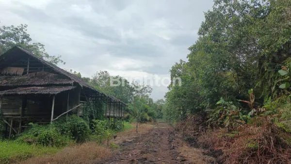 image TANAH KOMERSIAL SUNGAI AMBAWANG KM.30 (2)